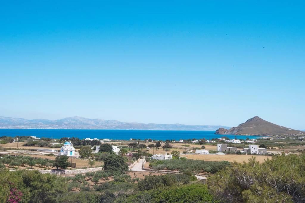 Appartement Sunny Studio W.Breathtaking Naxos Views In Isterni à Isterni  Extérieur photo